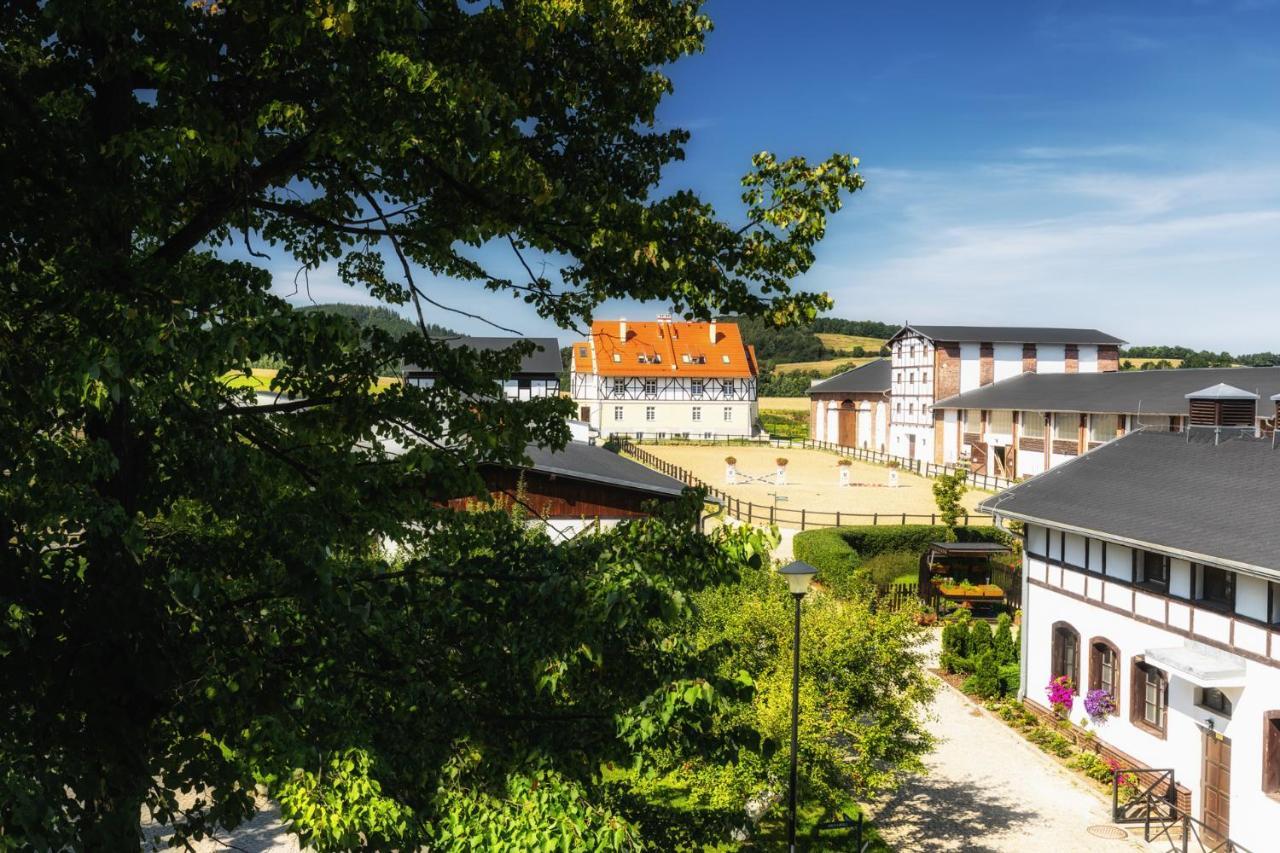 Dworzysko Hotel Szczawno-Zdroj Bagian luar foto